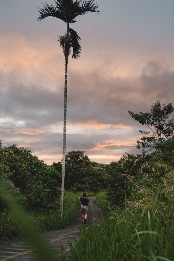 Campuhan Ridge Walk in Ubud auf Bali