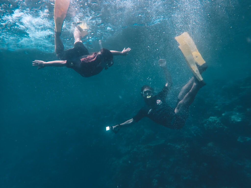 Wir beim schnorcheln im Great Barrier Reef