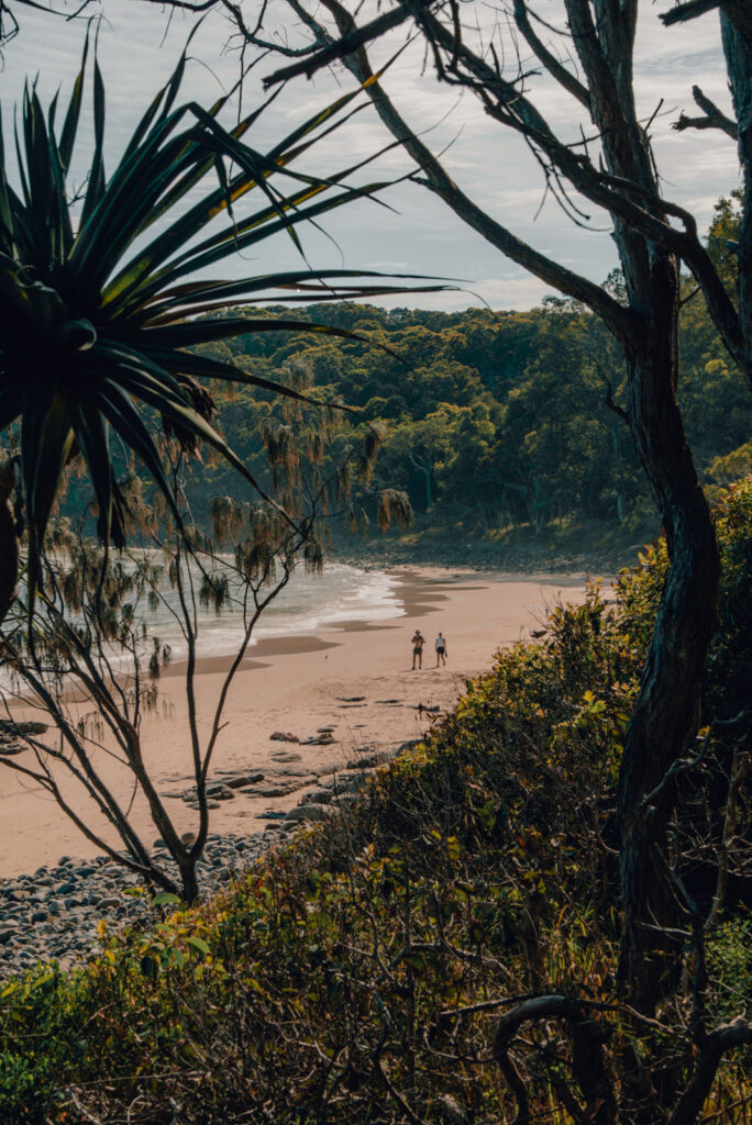 Strand im Noosa Nationalpark