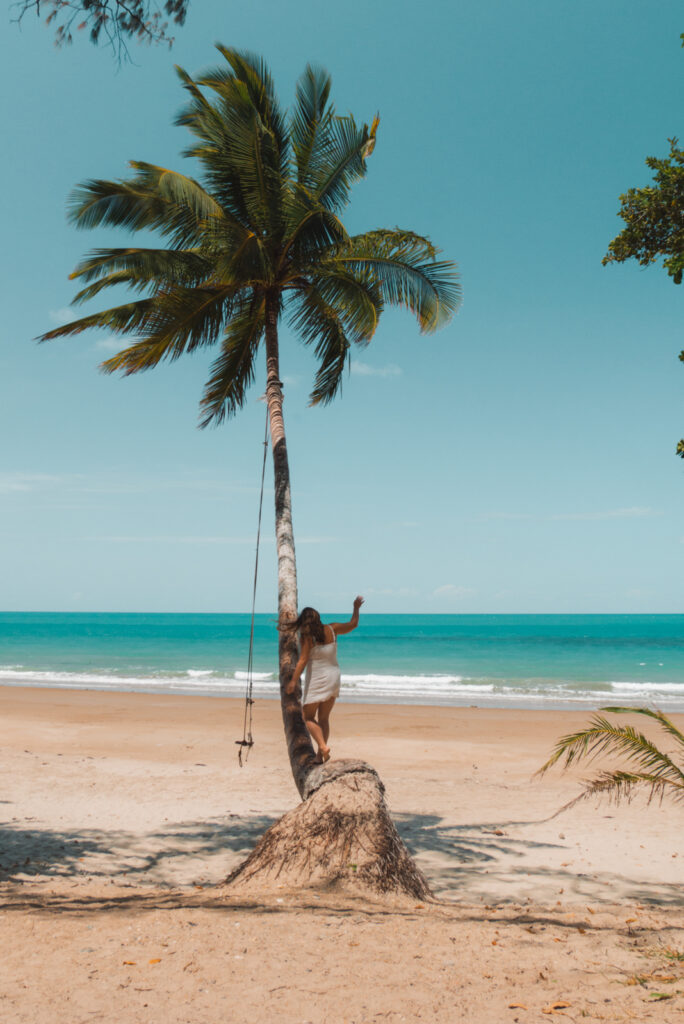 Julia balanciert auf einer Palme im Daintree Nationalpark