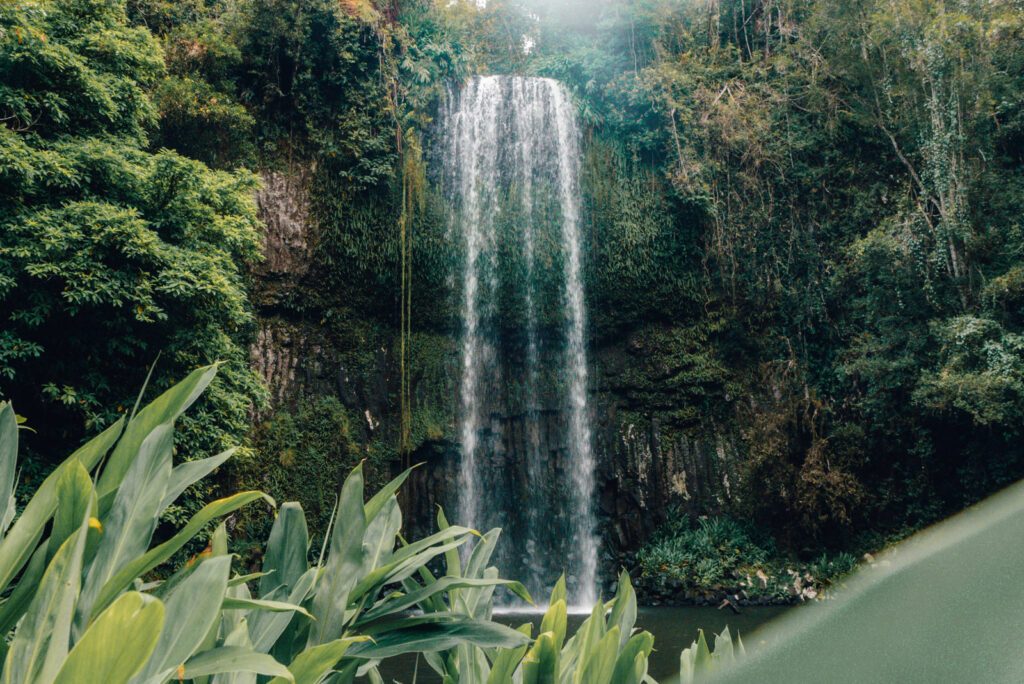 Milaa Milaa Wasserfall in Queensland