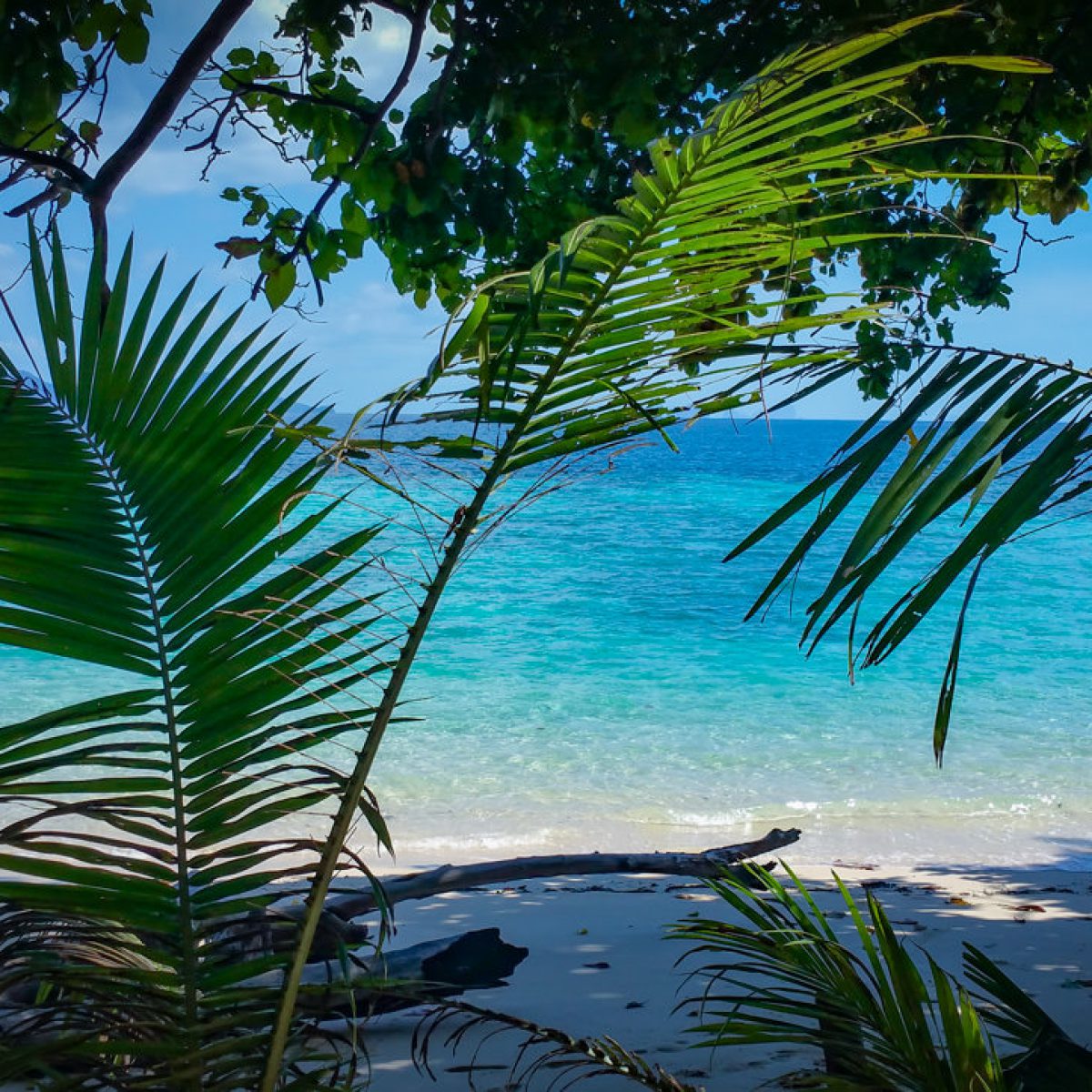 Ausblick von unserer Hütte auf den Strand von Koh Kradan