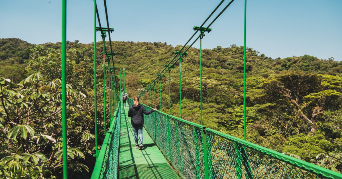 Julia auf der Hängebrücke im Monteverde Nationalpark