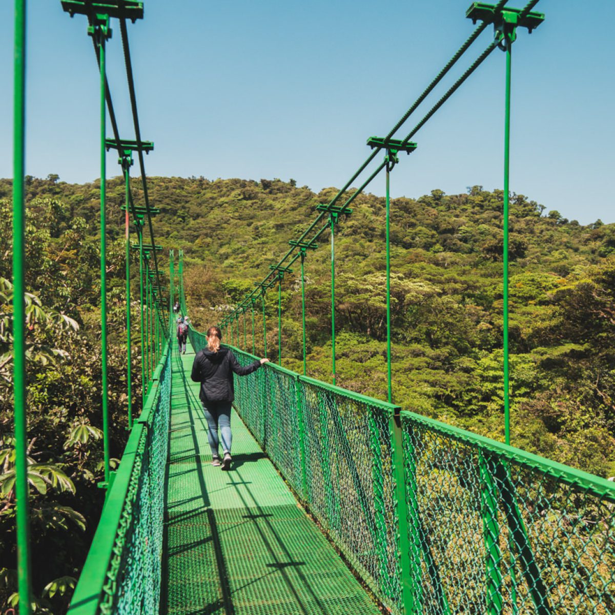 Julia auf der Hängebrücke im Monteverde Nationalpark