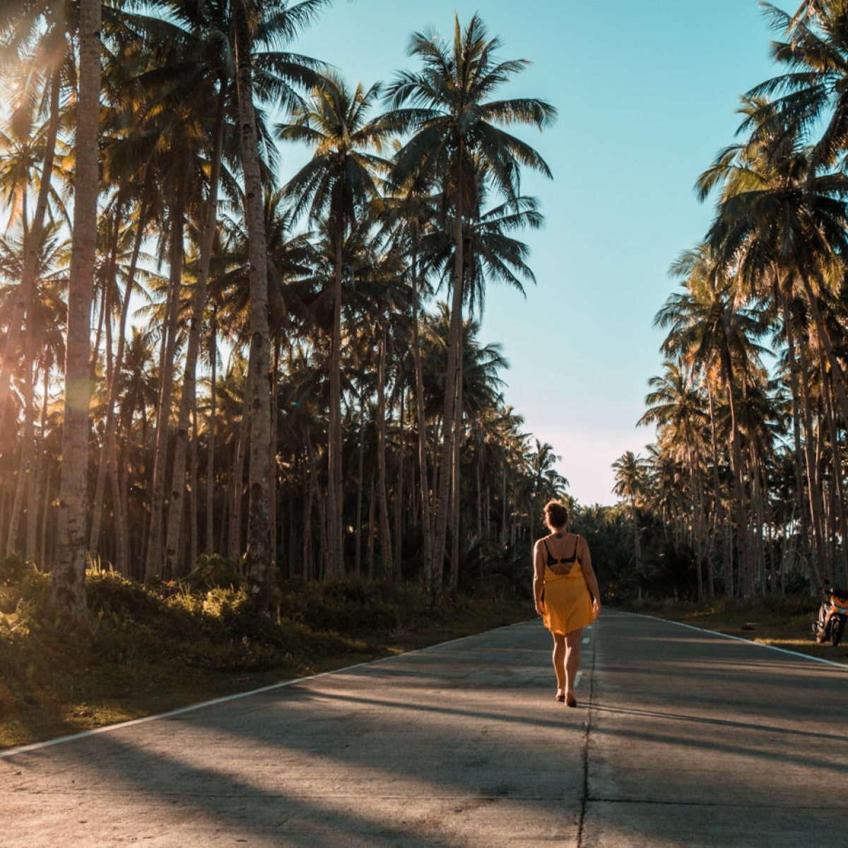 Julia auf der Straße zwischen Palmen auf Siargao, Philippinen