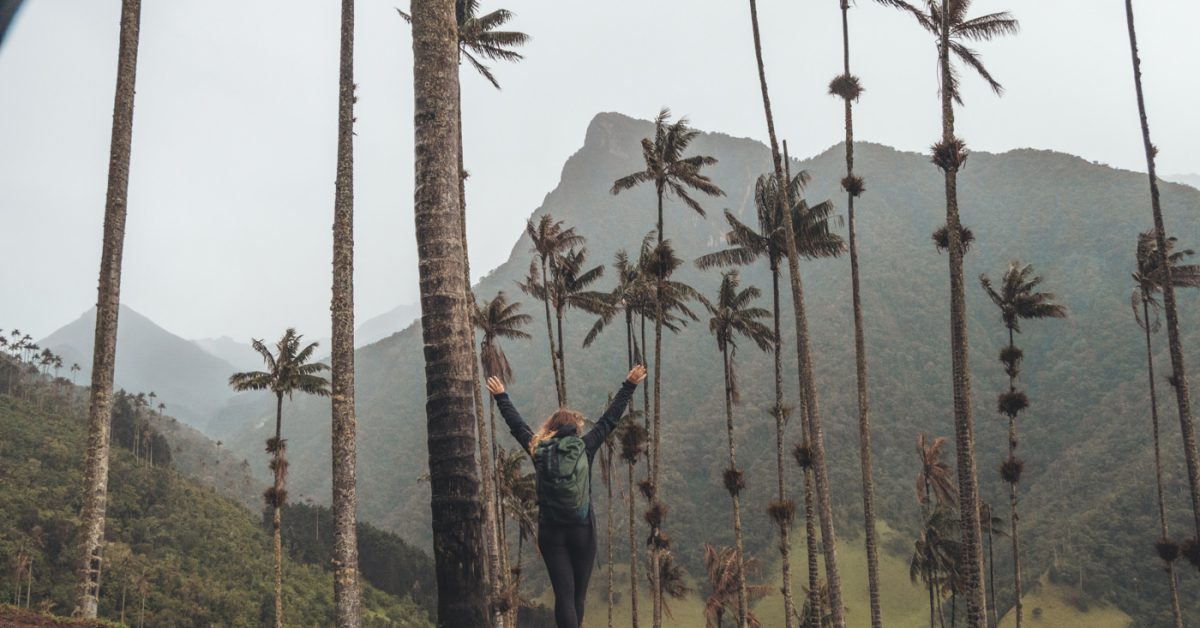 Julia unter den Wachspalmen im Valle de Cocora