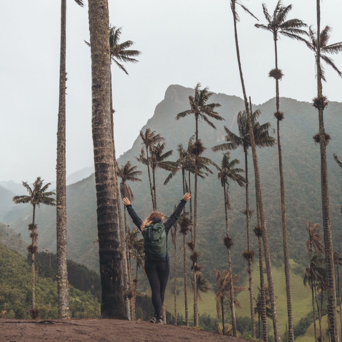 Julia unter den Wachspalmen im Valle de Cocora