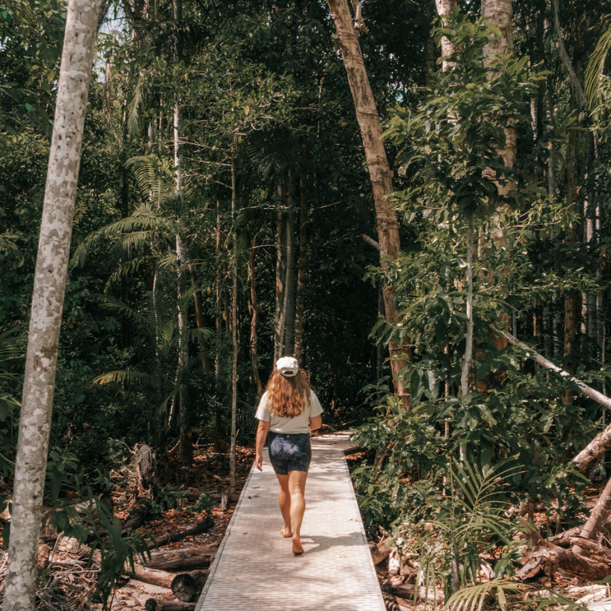 Trail im Litchfield Nationalpark, Northern Territory