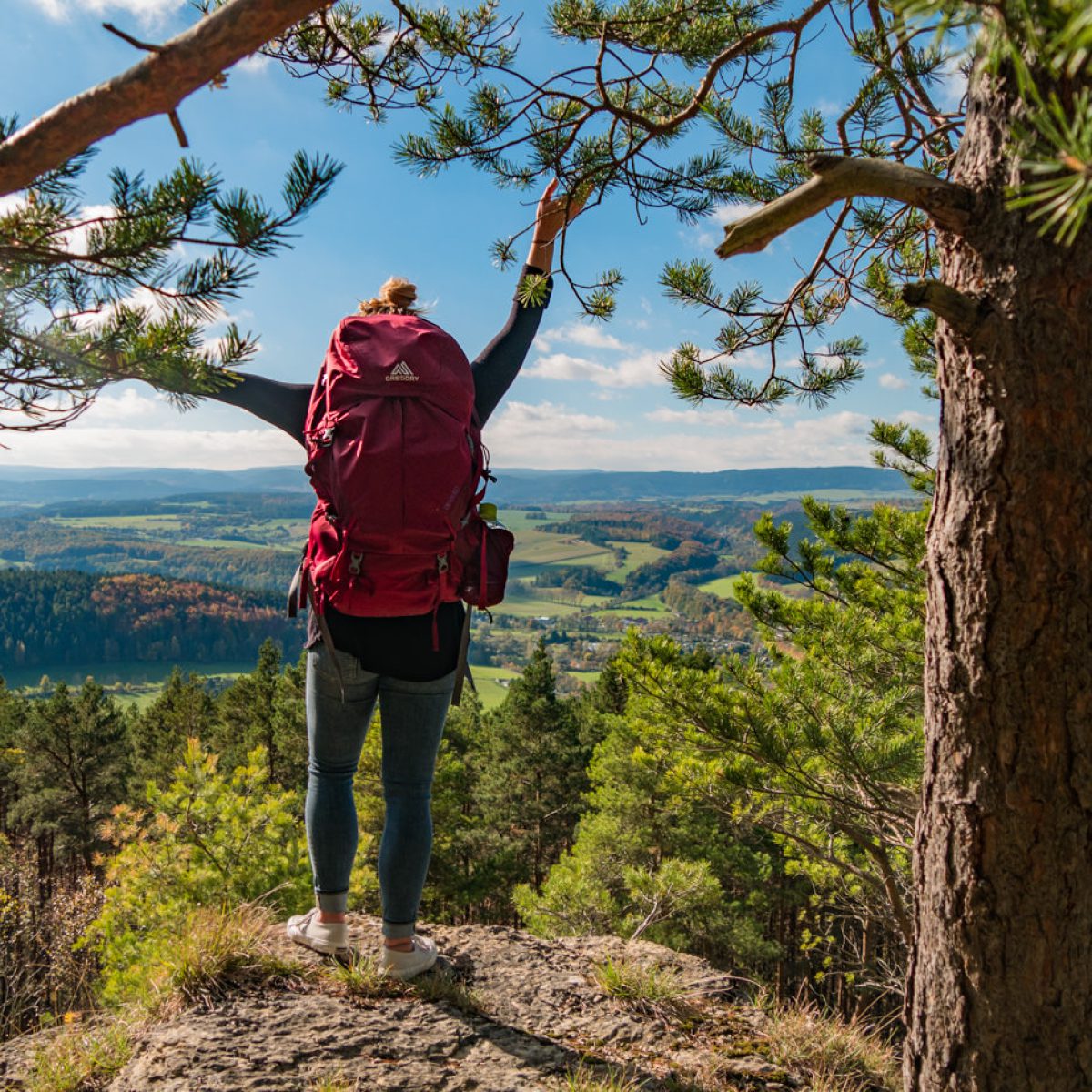 Julia's Rucksack, Gregory Deva