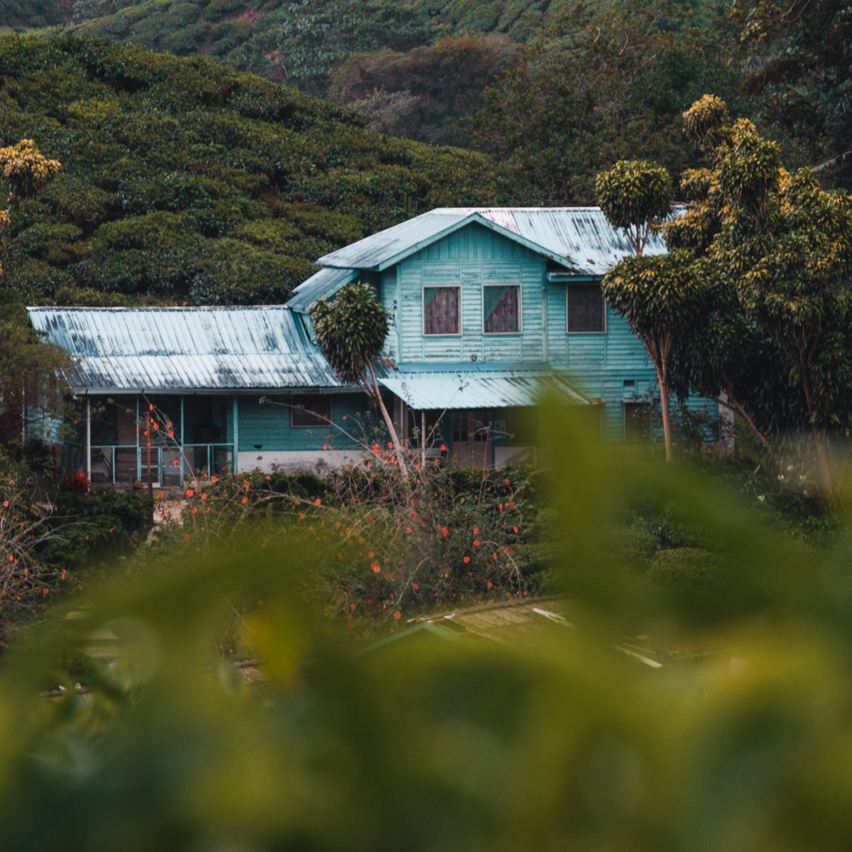 Ein Haus in den Cameron Highlands in Malaysia