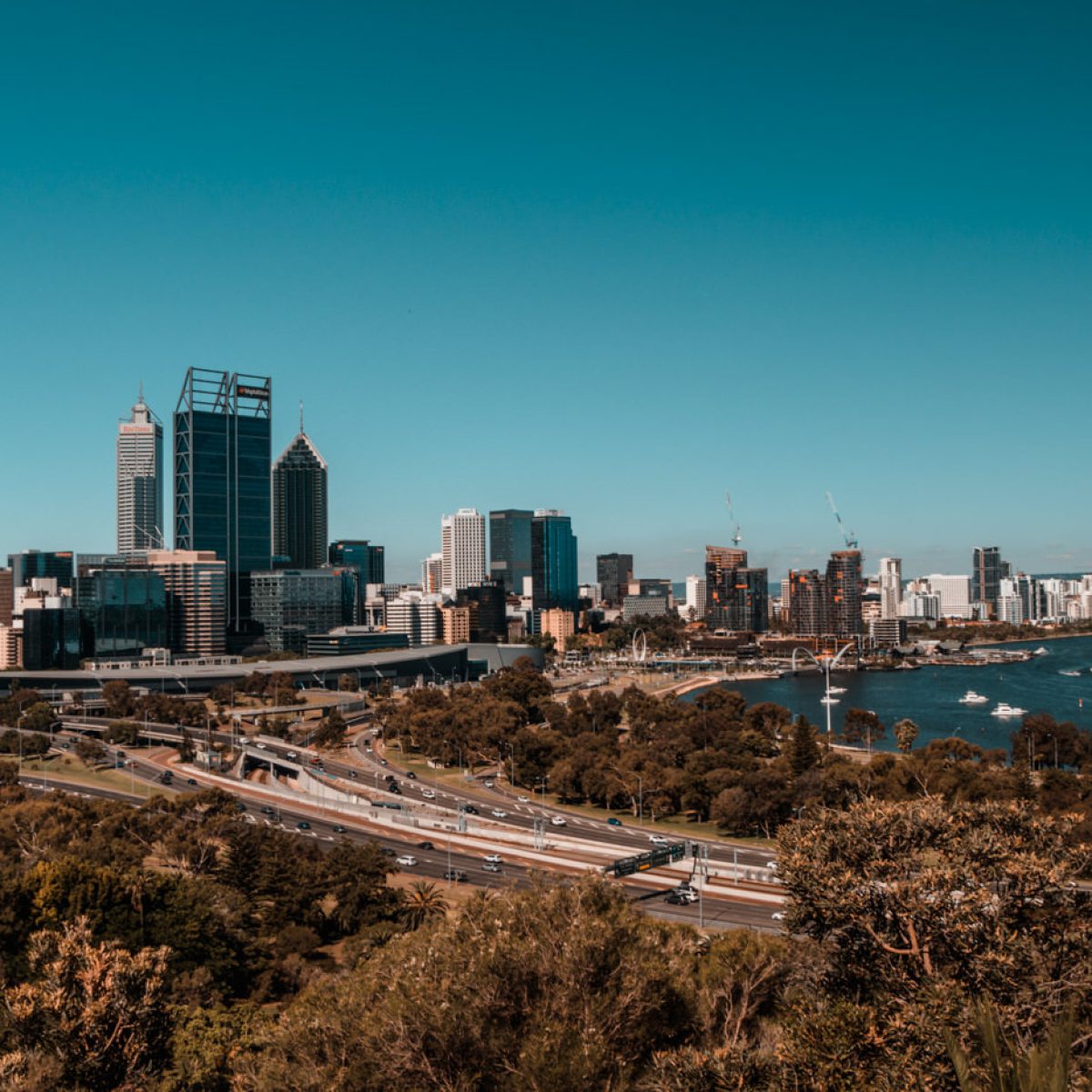 Aussicht vom Kings Park auf die Skyline von Perth