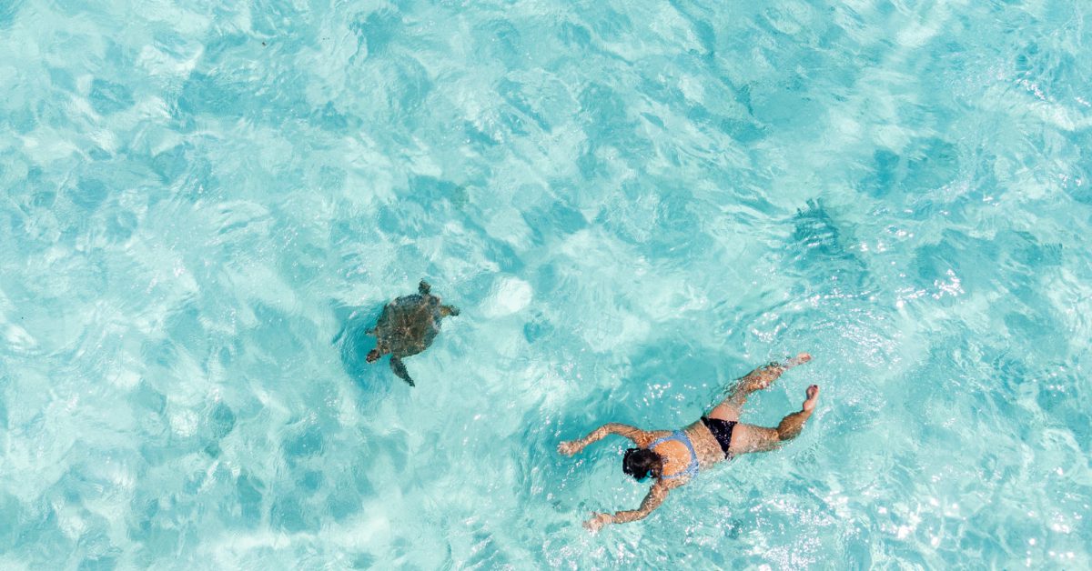 Julia schnorchelt mit einer Schildkröte vor Onok Island