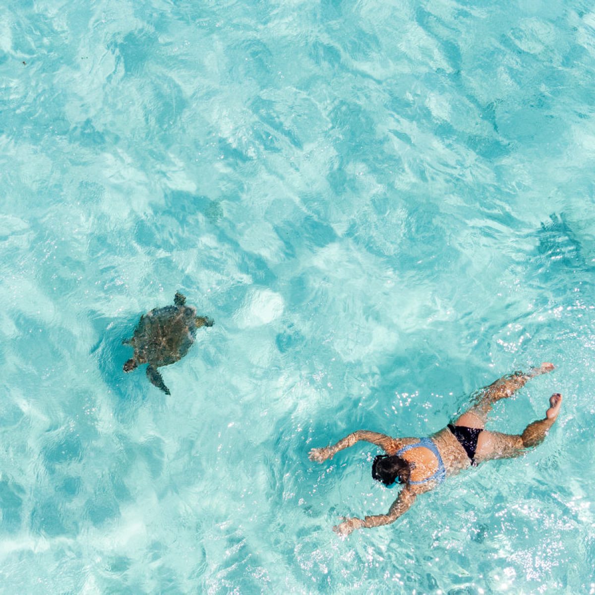 Julia schnorchelt mit einer Schildkröte vor Onok Island