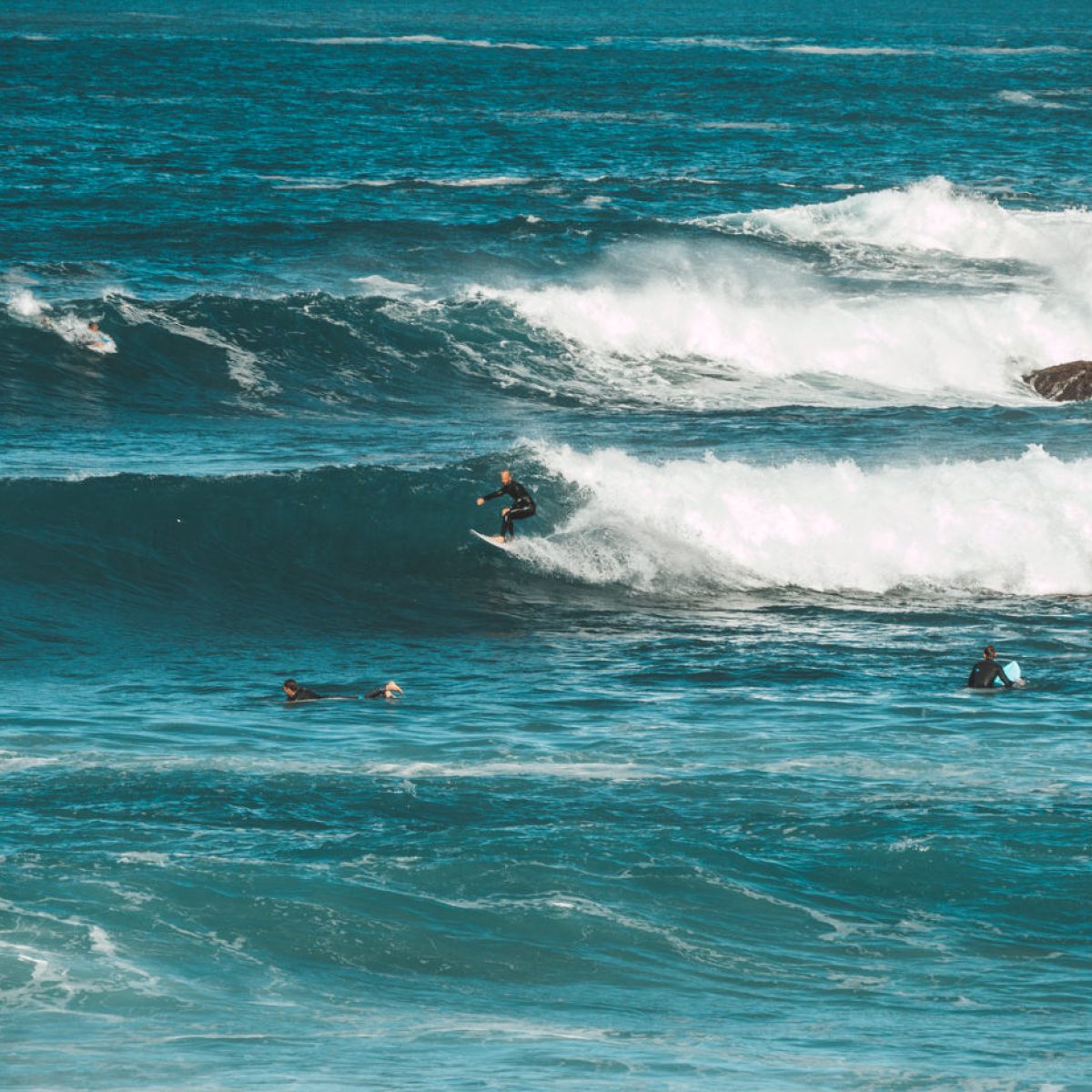 surfer-bondi-beach-sydney-australien