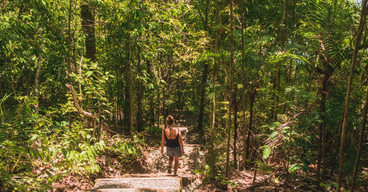 Wandern im Manuel Antonio Nationalpark