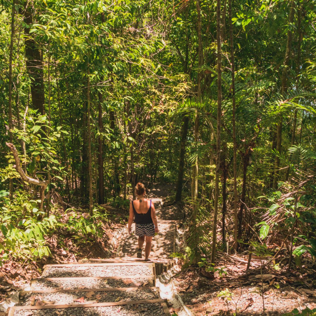 Wandern im Manuel Antonio Nationalpark